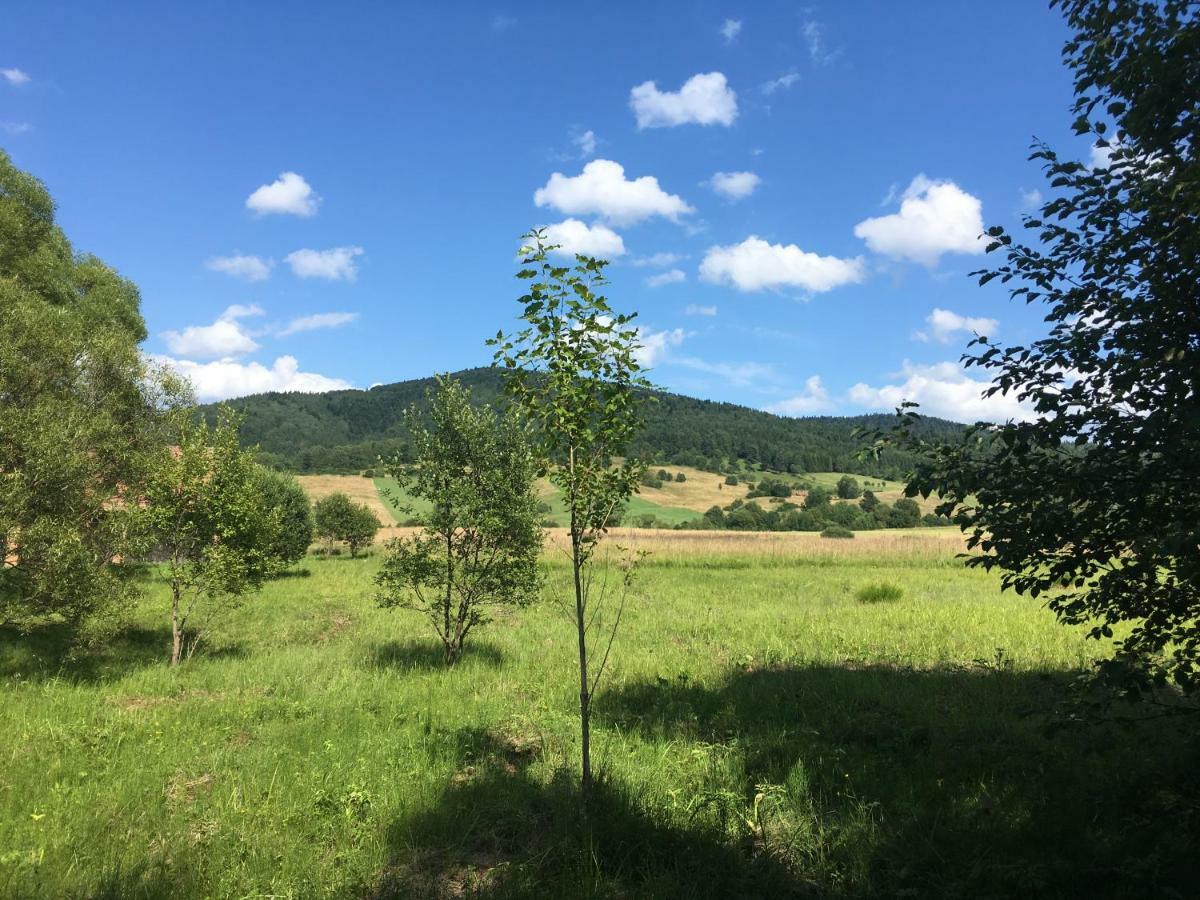 Pokoje U Bozeny I Zbyszka Lipie  Exterior foto